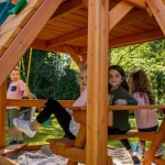gorilla empire extreme wooden swing set