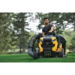 Cub Cadet xt1 lt46 riding lawn