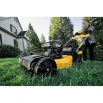 Dewalt 20v lawn care kit